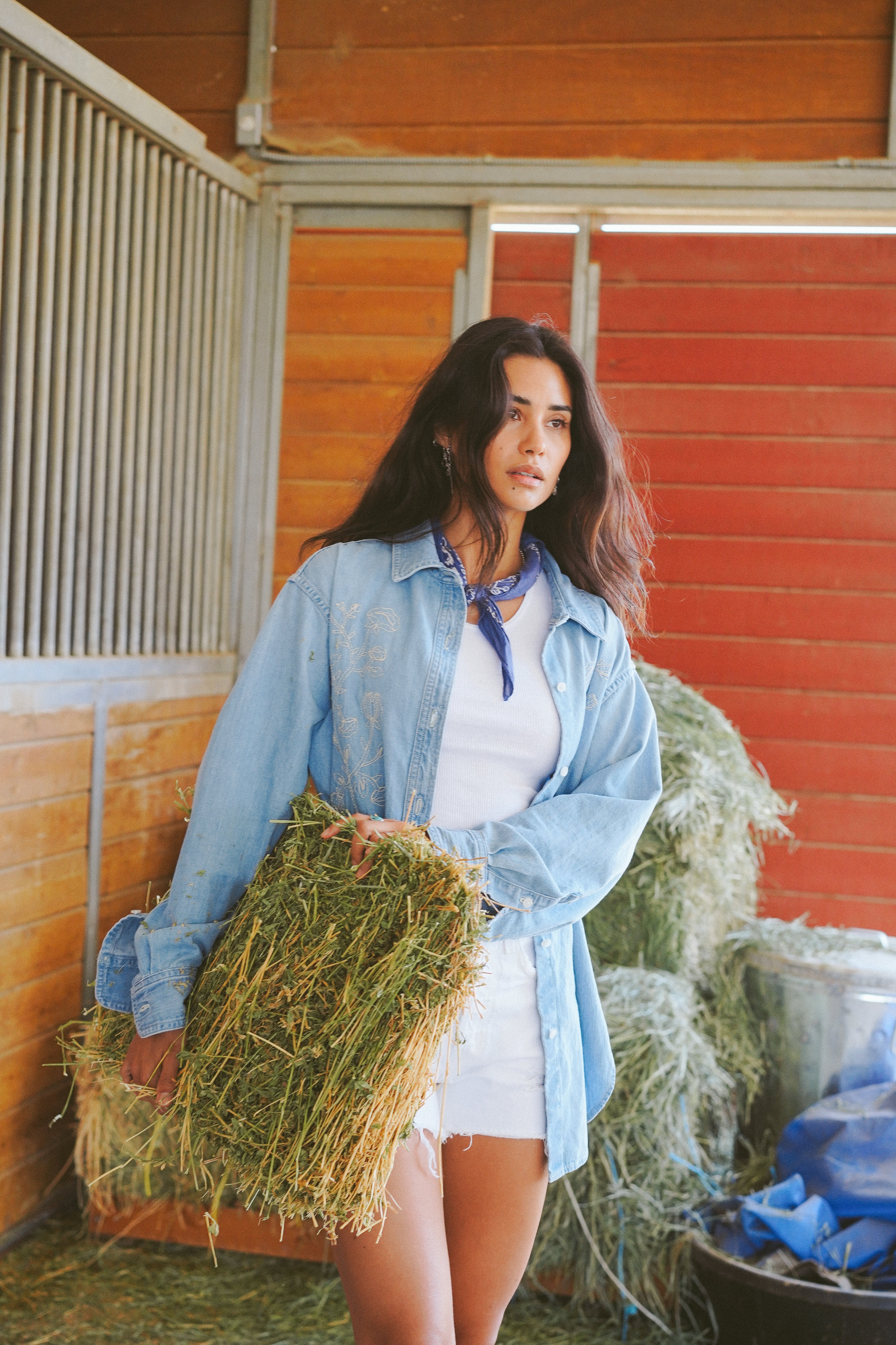 Elevate your wardrobe with the Curtis embroidered denim shirt, featuring stylish western detailing and unique nature-inspired chest embroidery. Perfect for any season!