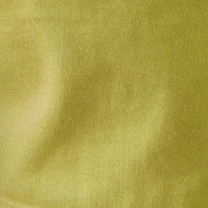 Rory Slouchy Short || Golden Kiwi