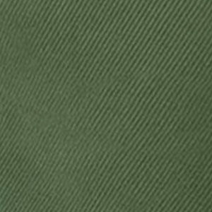 Sawyer Short || Salted Lime